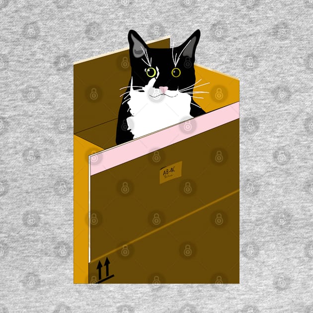 Cat in a box Cute Tuxedo Cat I can fit Copyright by TeAnne by TeAnne